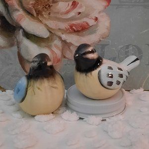 Set of two small finch like, salt & pepper set.